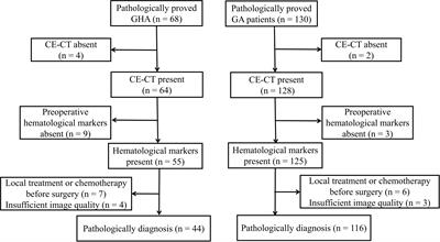 Differential diagnostic value of tumor markers and contrast-enhanced computed tomography in gastric hepatoid adenocarcinoma and gastric adenocarcinoma